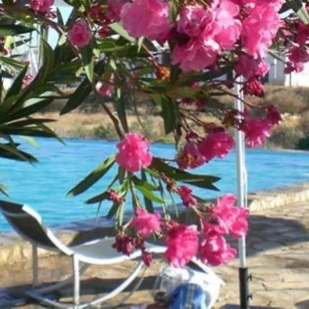 Cortijo Torreblanca - 12 Personas *